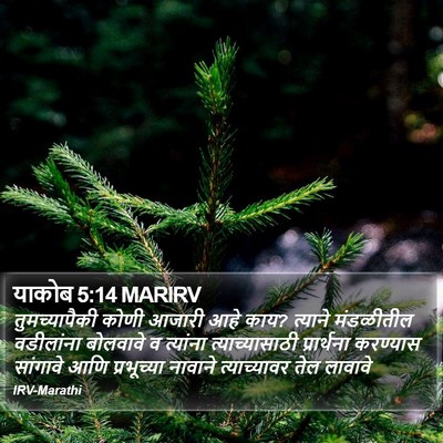 याकोब 5:14 MARIRV Bible Verse Image