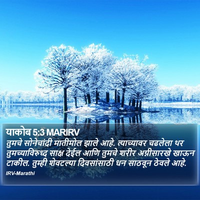याकोब 5:3 MARIRV Bible Verse Image