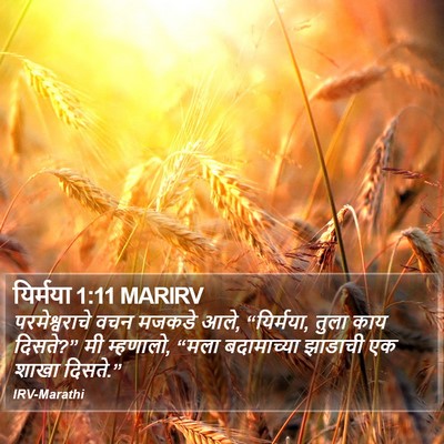 यिर्मया 1:11 MARIRV Bible Verse Image
