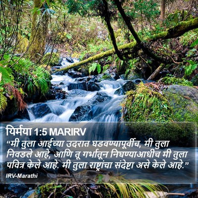 यिर्मया 1:5 MARIRV Bible Verse Image