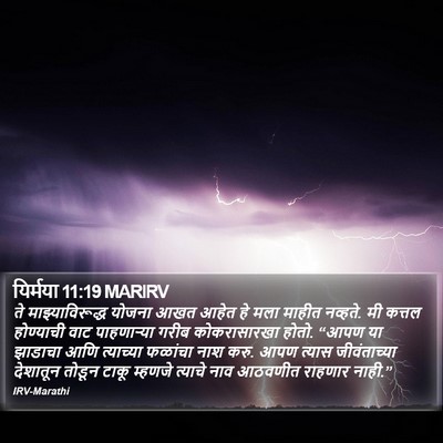 यिर्मया 11:19 MARIRV Bible Verse Image