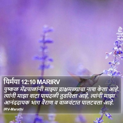 यिर्मया 12:10 MARIRV Bible Verse Image
