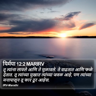 यिर्मया 12:2 MARIRV Bible Verse Image