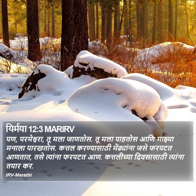 यिर्मया 12:3 MARIRV Bible Verse Image