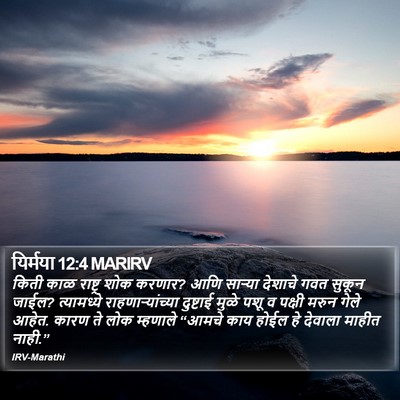 यिर्मया 12:4 MARIRV Bible Verse Image