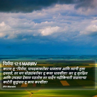 यिर्मया 12:5 MARIRV Bible Verse Image