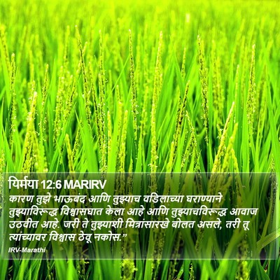 यिर्मया 12:6 MARIRV Bible Verse Image