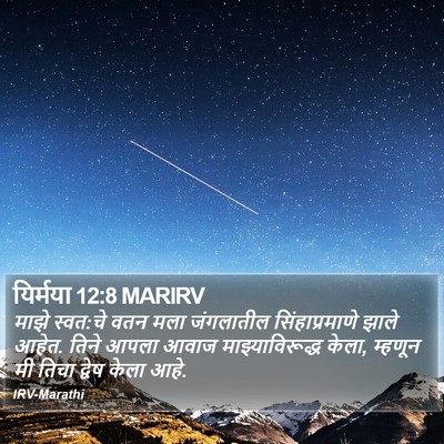 यिर्मया 12:8 MARIRV Bible Verse Image
