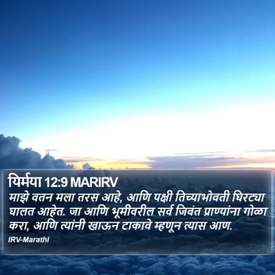 यिर्मया 12:9 MARIRV Bible Verse Image