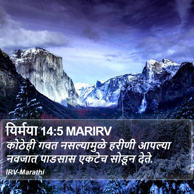यिर्मया 14:5 MARIRV Bible Verse Image