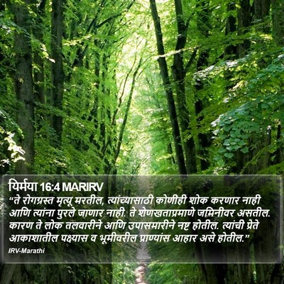 यिर्मया 16:4 MARIRV Bible Verse Image