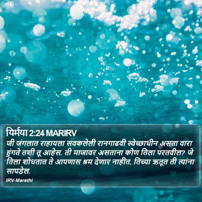 यिर्मया 2:24 MARIRV Bible Verse Image
