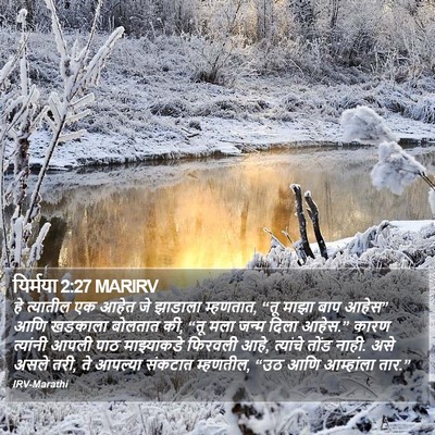 यिर्मया 2:27 MARIRV Bible Verse Image