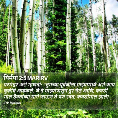 यिर्मया 2:5 MARIRV Bible Verse Image