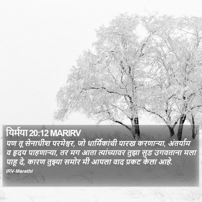 यिर्मया 20:12 MARIRV Bible Verse Image