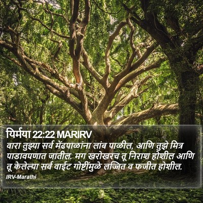 यिर्मया 22:22 MARIRV Bible Verse Image