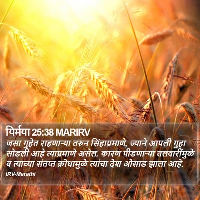 यिर्मया 25:38 MARIRV Bible Verse Image