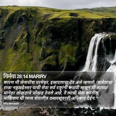यिर्मया 28:14 MARIRV Bible Verse Image