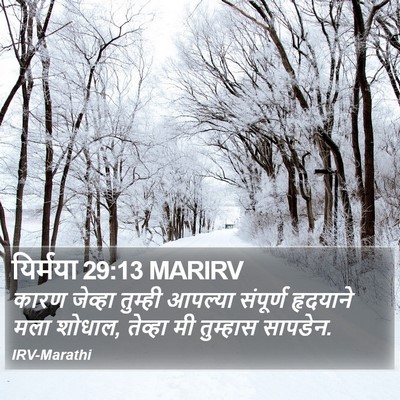यिर्मया 29:13 MARIRV Bible Verse Image