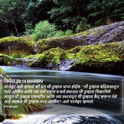 यिर्मया 29:14 MARIRV Bible Verse Image