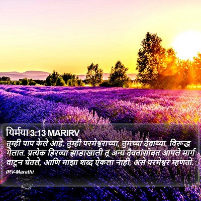 यिर्मया 3:13 MARIRV Bible Verse Image