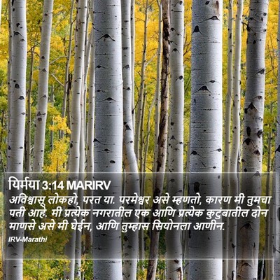 यिर्मया 3:14 MARIRV Bible Verse Image