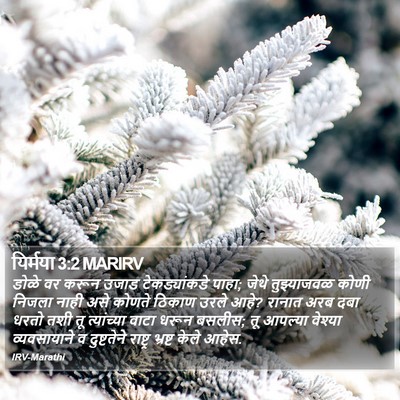यिर्मया 3:2 MARIRV Bible Verse Image