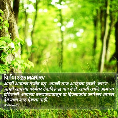 यिर्मया 3:25 MARIRV Bible Verse Image
