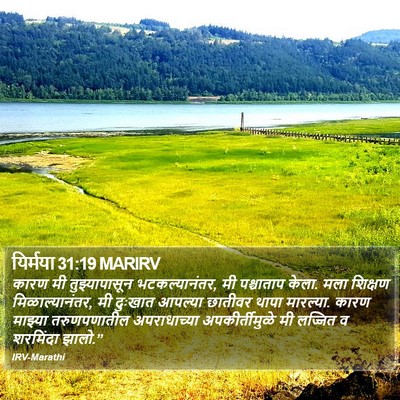 यिर्मया 31:19 MARIRV Bible Verse Image