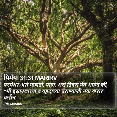 यिर्मया 31:31 MARIRV Bible Verse Image
