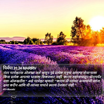 यिर्मया 31:34 MARIRV Bible Verse Image