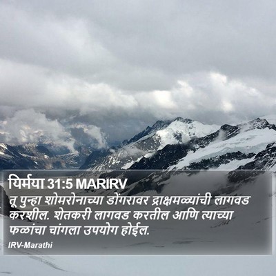यिर्मया 31:5 MARIRV Bible Verse Image