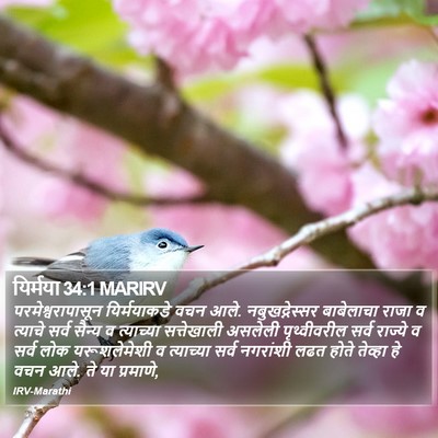 यिर्मया 34:1 MARIRV Bible Verse Image