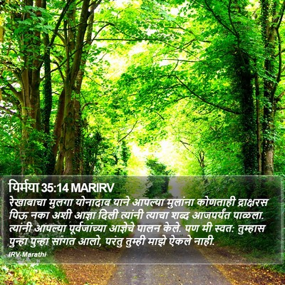 यिर्मया 35:14 MARIRV Bible Verse Image