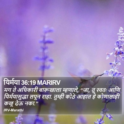 यिर्मया 36:19 MARIRV Bible Verse Image