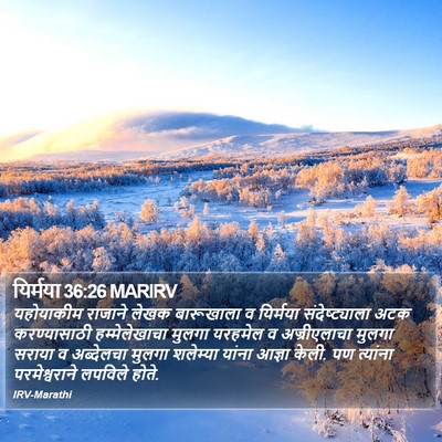 यिर्मया 36:26 MARIRV Bible Verse Image