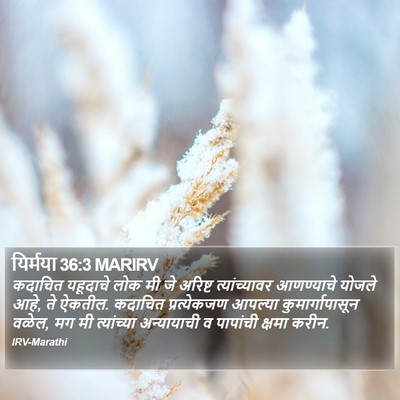 यिर्मया 36:3 MARIRV Bible Verse Image