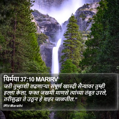 यिर्मया 37:10 MARIRV Bible Verse Image
