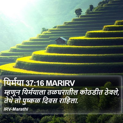 यिर्मया 37:16 MARIRV Bible Verse Image