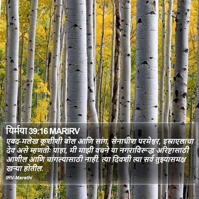 यिर्मया 39:16 MARIRV Bible Verse Image
