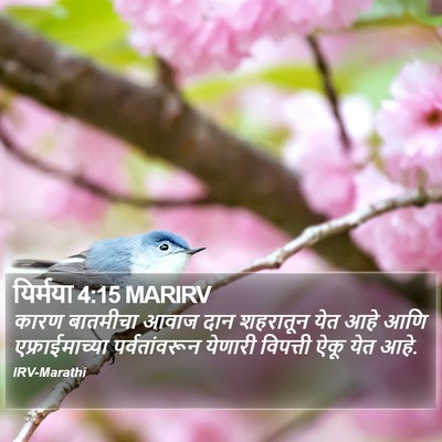 यिर्मया 4:15 MARIRV Bible Verse Image