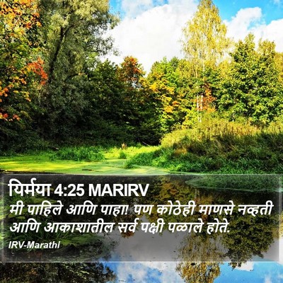 यिर्मया 4:25 MARIRV Bible Verse Image