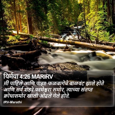यिर्मया 4:26 MARIRV Bible Verse Image