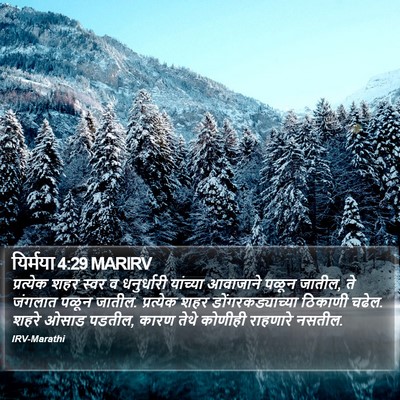 यिर्मया 4:29 MARIRV Bible Verse Image