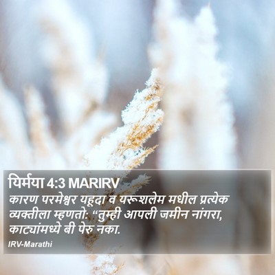 यिर्मया 4:3 MARIRV Bible Verse Image