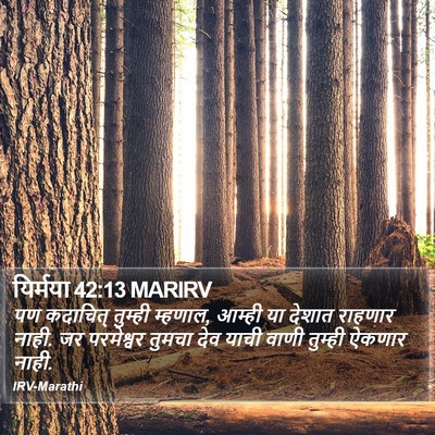 यिर्मया 42:13 MARIRV Bible Verse Image