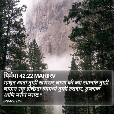 यिर्मया 42:22 MARIRV Bible Verse Image