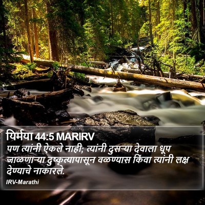 यिर्मया 44:5 MARIRV Bible Verse Image