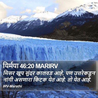 यिर्मया 46:20 MARIRV Bible Verse Image