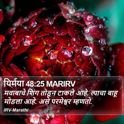 यिर्मया 48:25 MARIRV Bible Verse Image